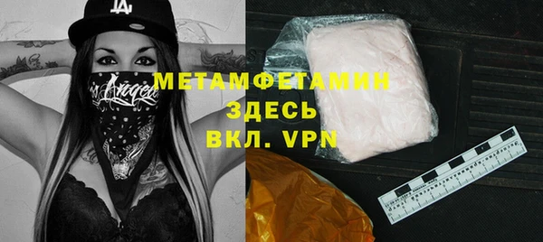 индика Пестово