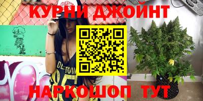 дживик Гусь-Хрустальный