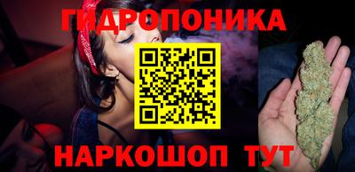 2c-b Гусиноозёрск