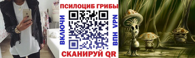 Псилоцибиновые грибы GOLDEN TEACHER  где купить наркоту  Соликамск 